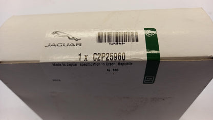 Original OE JAGUAR Steuergerät C2P25960