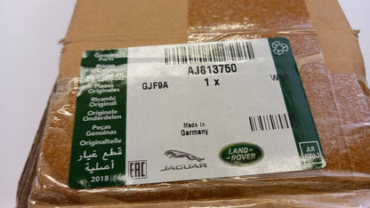 Original JAGUAR F-Pace X152 XF XJ X351 Kraftstoff Verteilerrohr Links AJ813750