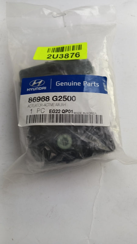 Original OE HYUNDAI/KIA Kühler Abweiser 86968G2500