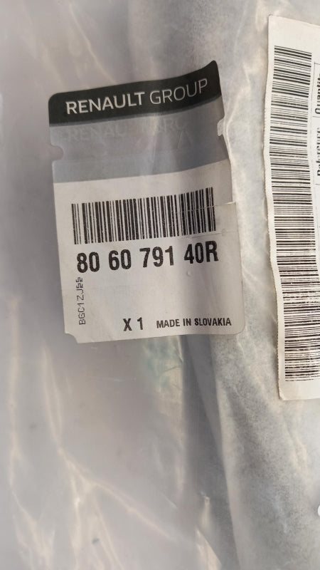 Original OE RENAULT Türgriff 806079140R