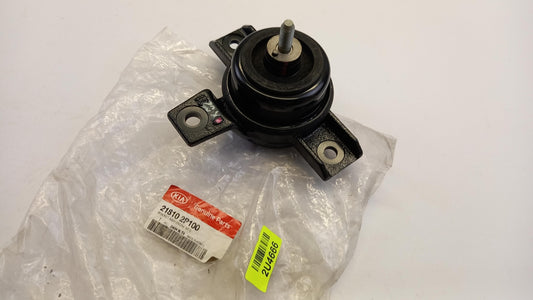 Original HYUNDAI Santa Fe KIA Sorento Motorlager 218102P100