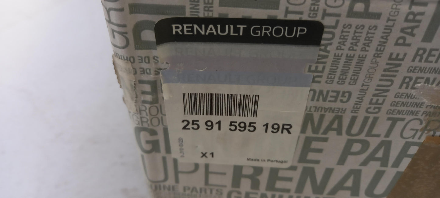 Original RENAULT Clio V Arkana I Captur II Multimedia Haupteinheit 259159519R