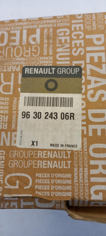 Original OE RENAULT Außenspiegel 963024306R