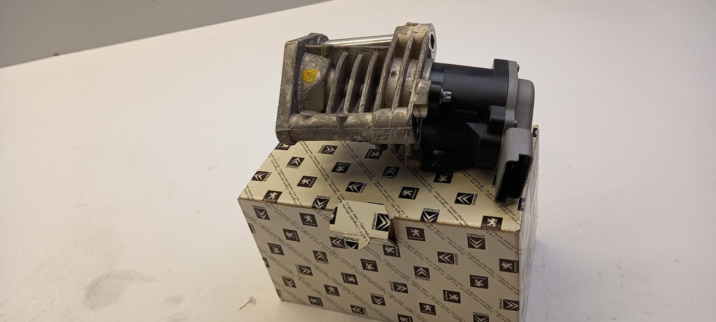 Original PEUGEOT 406 CITROEN C5 2.0 HPi AGR-Ventil 1628WR