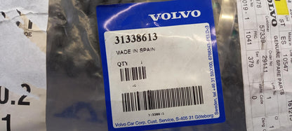 Original VOLVO S60 V60 2011- Luftfilter Luftkanal vorn 31338613