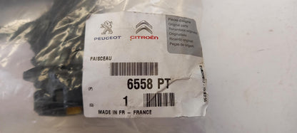 Original PEUGEOT 1007 CITROEN C2 C3 1.4 HDi Injektoren Kabelbaum 6558PT