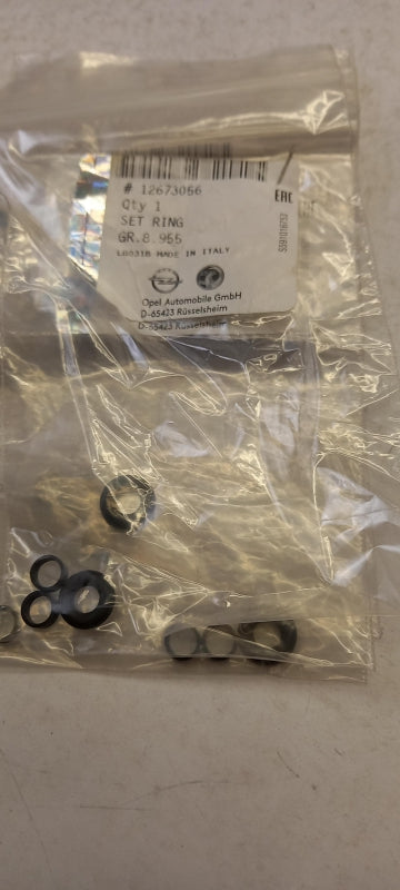Original OE OPEL Dichtungssatz 12673056