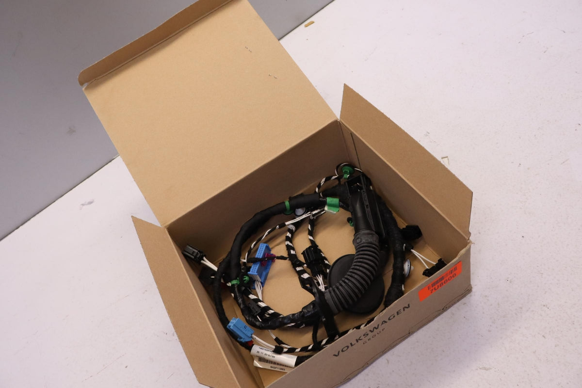 Original VW Tiguan AD/BW Jetta A6 RHD Tür Kabelbaum Fahrer 5NC971120ES