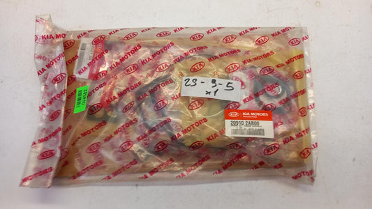 Original OE HYUNDAI/KIA Motor Dichtungsvollsatz 209102AB00