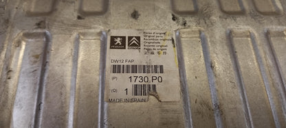 Original PEUGEOT 807 CITROEN C8 Abgasanlage Schalldämpfer hinten 1730P0