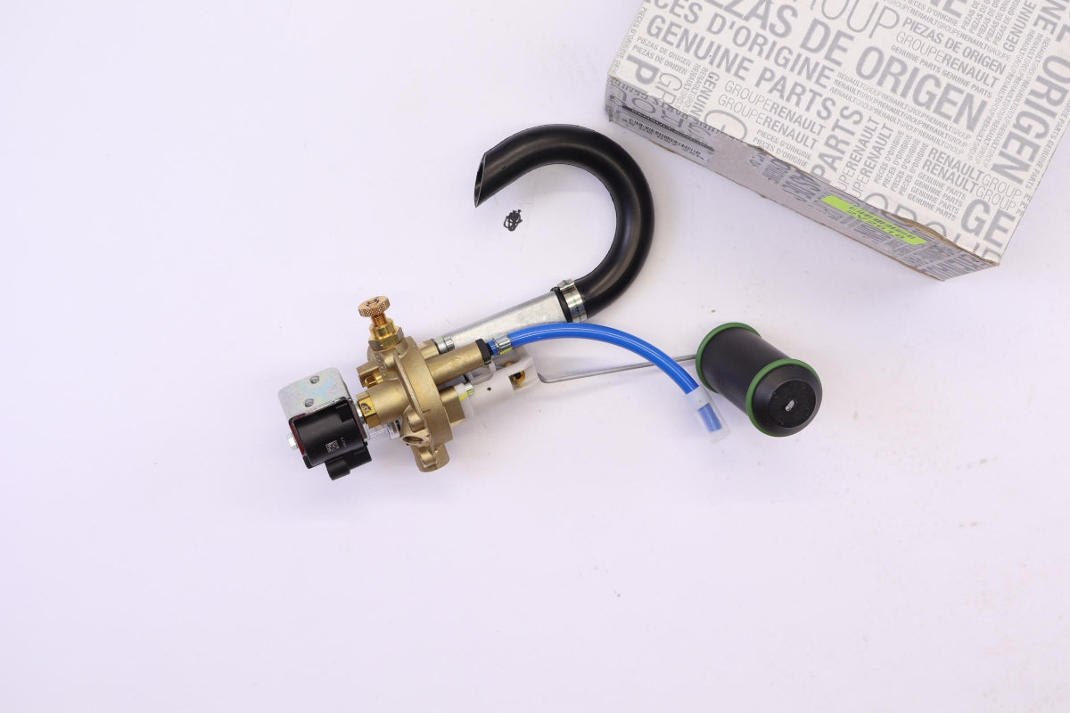 Original RENAULT DACIA Logan Sandero II GPL Multiventil 250609725R