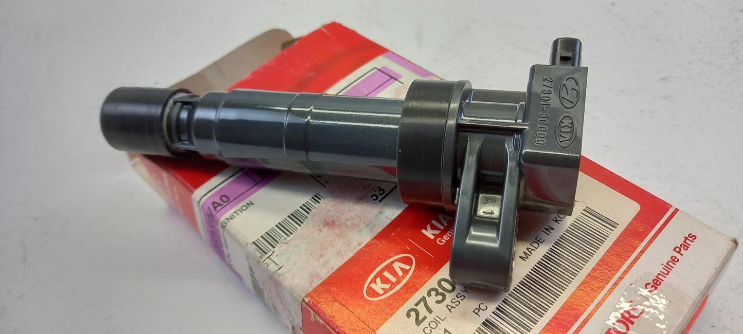 Original HYUNDAI Genesis IX55 Santa Fe KIA Sorento Mohave Zündspule 273013C000