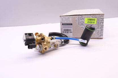 Original RENAULT DACIA Logan Sandero II GPL Multiventil 250609725R