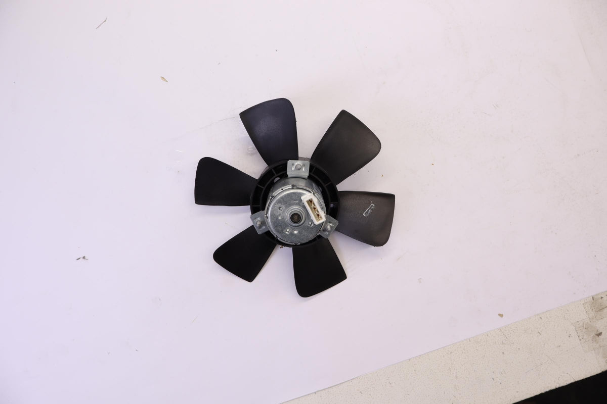 Original OE Volkswagen Kühlerlüfter Elektromotor 165959455L