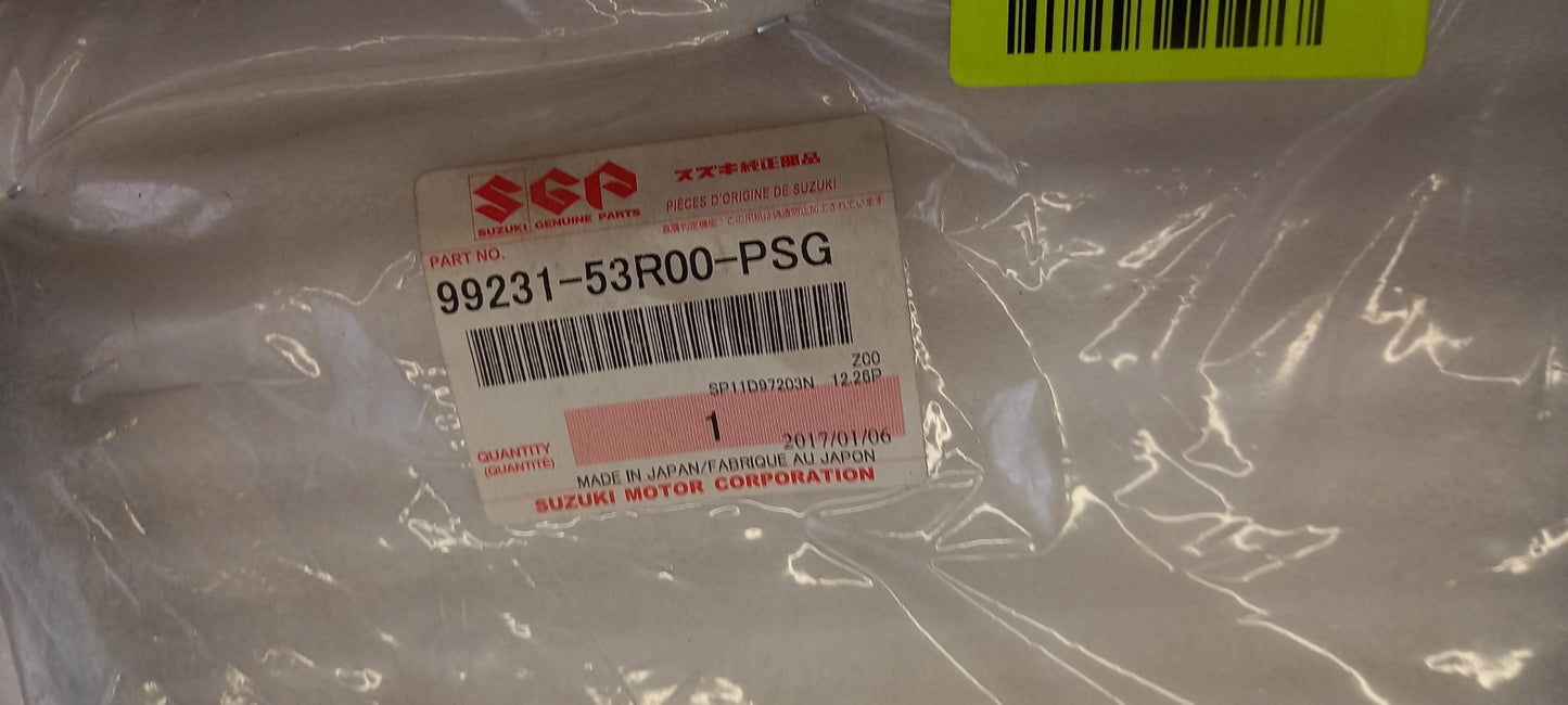 Original OE SUZUKI Mittelkonsole Teil 9923153R00PSG