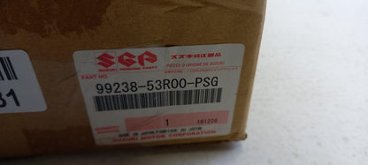 Original OE SUZUKI Tür Zierleiste 9923853R00PSG