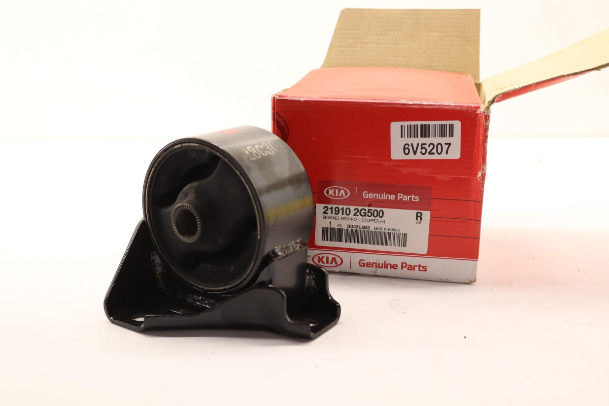 Original OE HYUNDAI/KIA Motorlager 219102G500