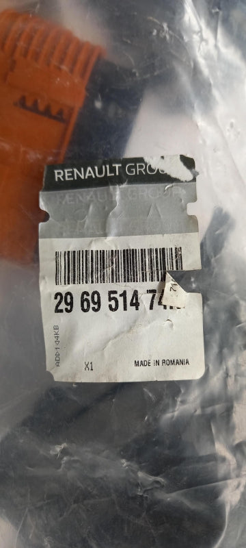 Original RENAULT Zoe (BFM) Kabelbaum 296951474R