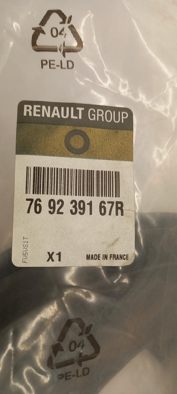 Original OE RENAULT Türdichtung 769239167R