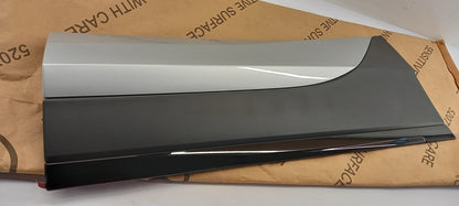 Original VW Tiguan AD/BT Tür Abdeckung reflexsilber hinten rechts 5NA854950SA7W