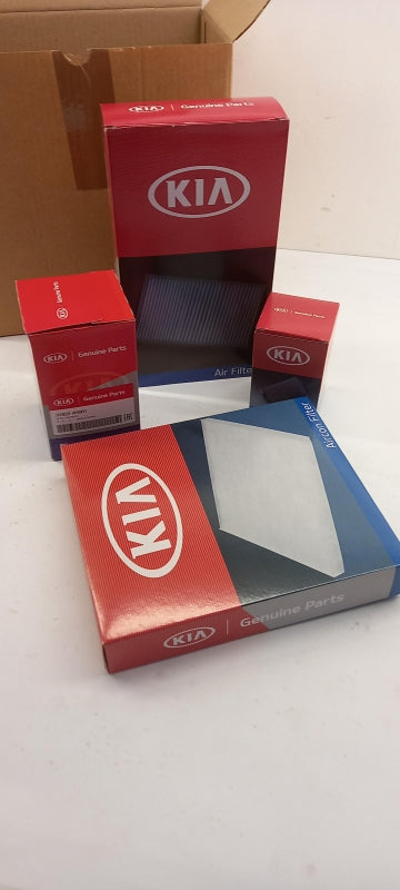 Original OE HYUNDAI/KIA Filterset 25N2AB24M0
