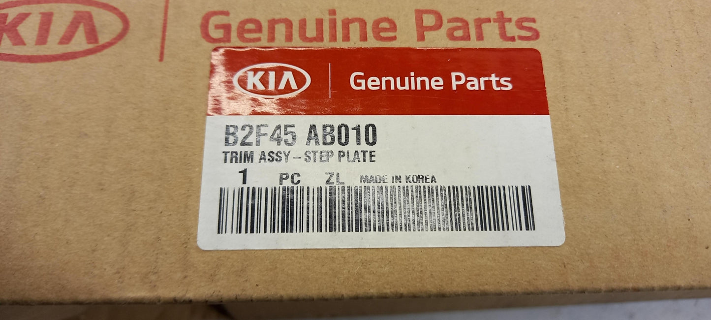 Original OE HYUNDAI/KIA Einstiegsleisten Satz B2F45AB010