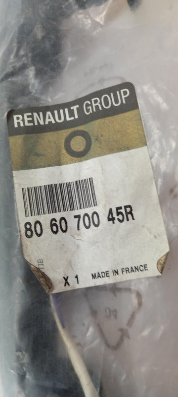 Original OE RENAULT Türgriff 806070045R