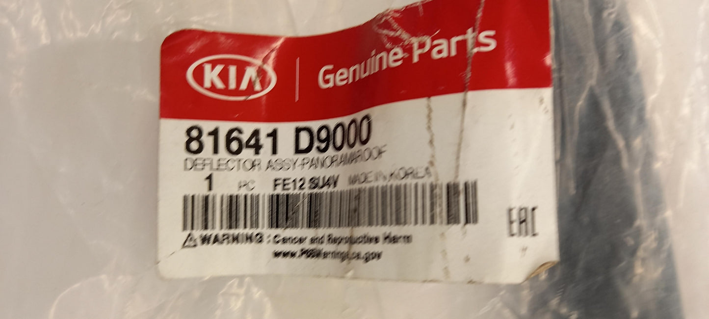 Original OE HYUNDAI/KIA Windabweiser 81641D9000