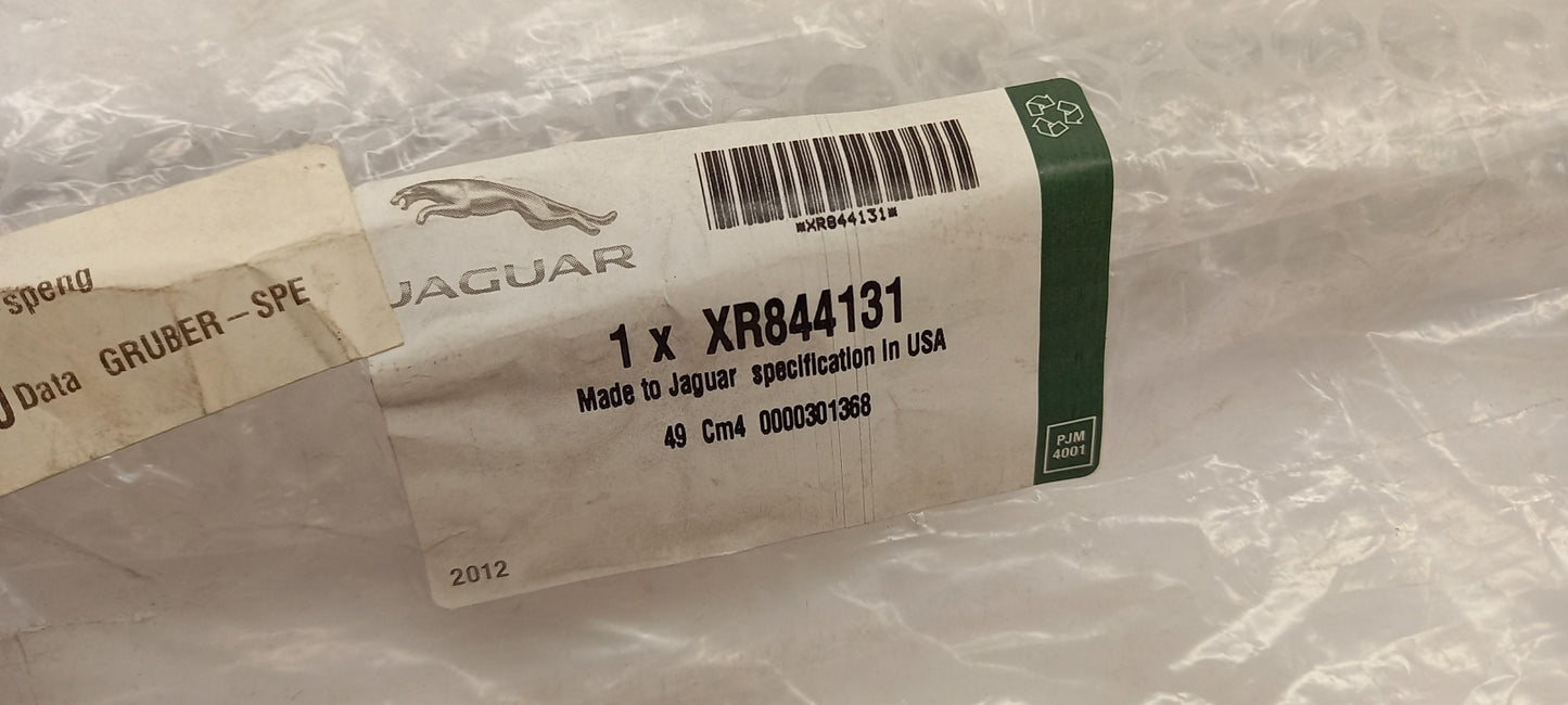 Original OE JAGUAR Stoßstangen Zierleiste XR844131