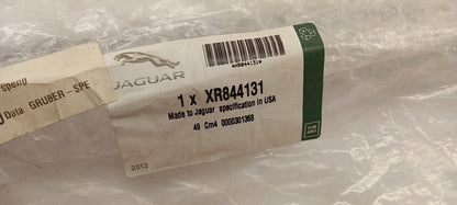 Original OE JAGUAR Stoßstangen Zierleiste XR844131