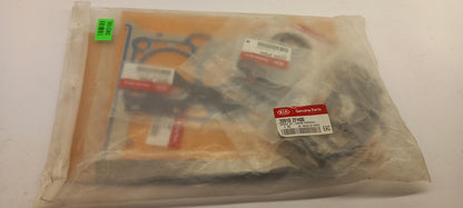 Original OE HYUNDAI/KIA Motor Dichtungsvollsatz 209102FH00