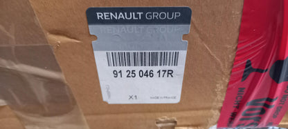 Original OE RENAULT Sonnenschutz 912504617R
