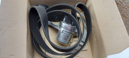 Original OE NISSAN Keilrippenriemensatz 1172000Q8M