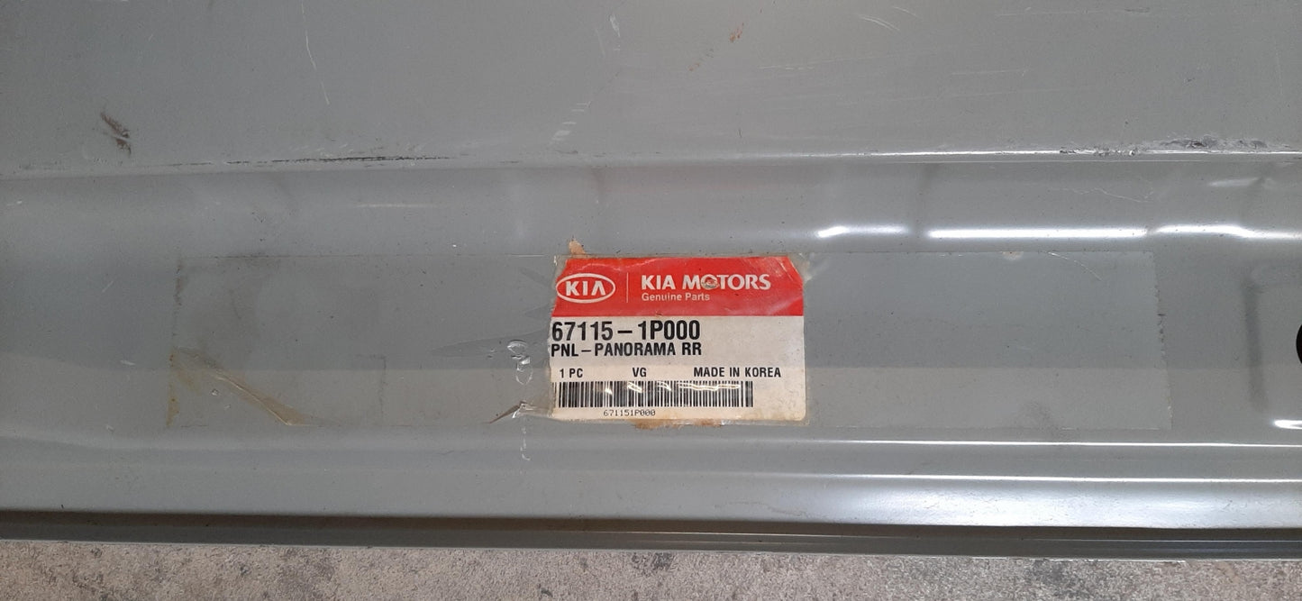 Original OE HYUNDAI/KIA Dach Zierleiste 671151P000