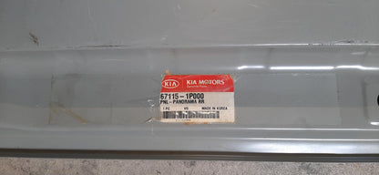 Original OE HYUNDAI/KIA Dach Zierleiste 671151P000