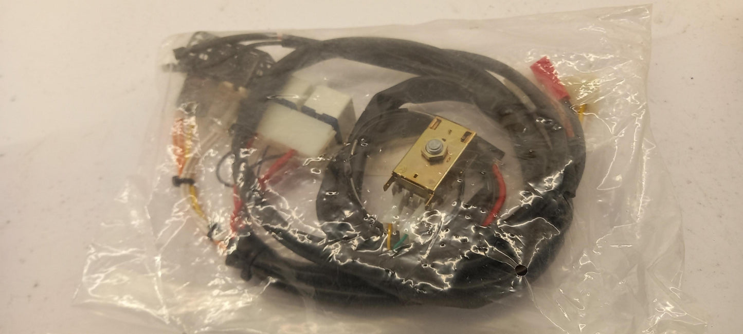 Original OE FIAT Kabelbaum 1313550080