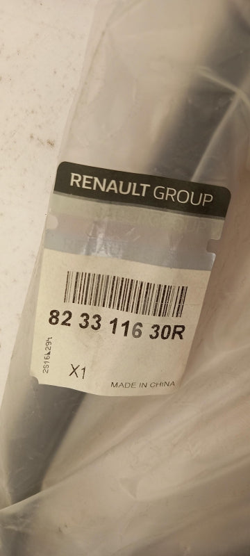 Original OE RENAULT Türscheiben Dichtung 823311630R