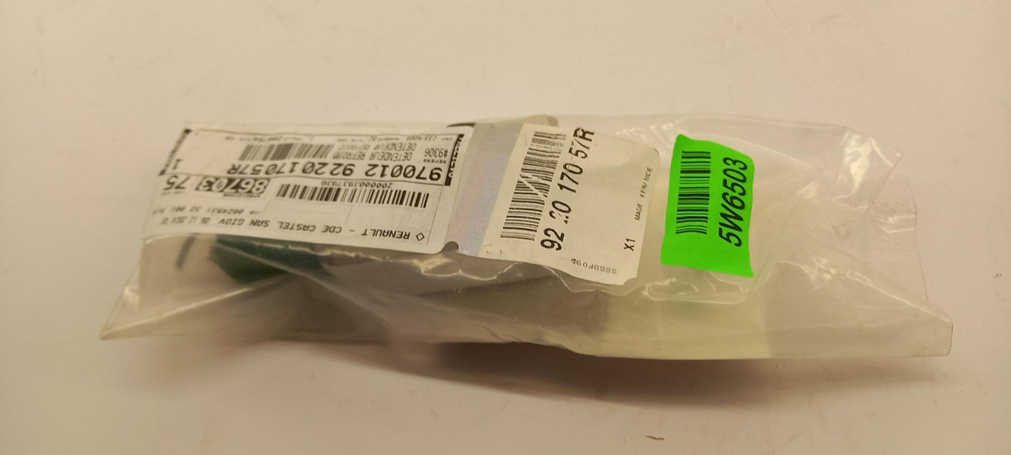 Original OE RENAULT Hochvoltbatterie (Lithium-Ionen) 922017057R
