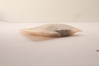 Original OE MITSUBISHI Getriebe Zahnrad MR553131