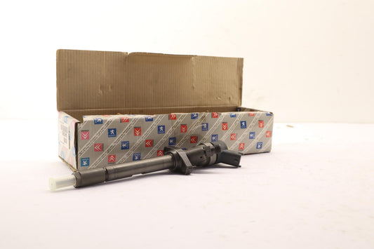 Original OE Peugeot Injektor 1980H6