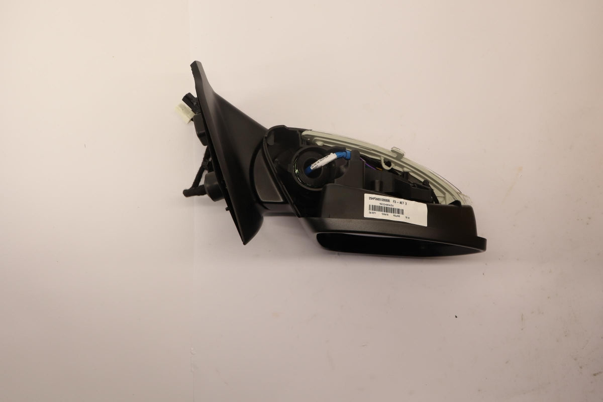 Original OE Peugeot Außenspiegel 98240965XT