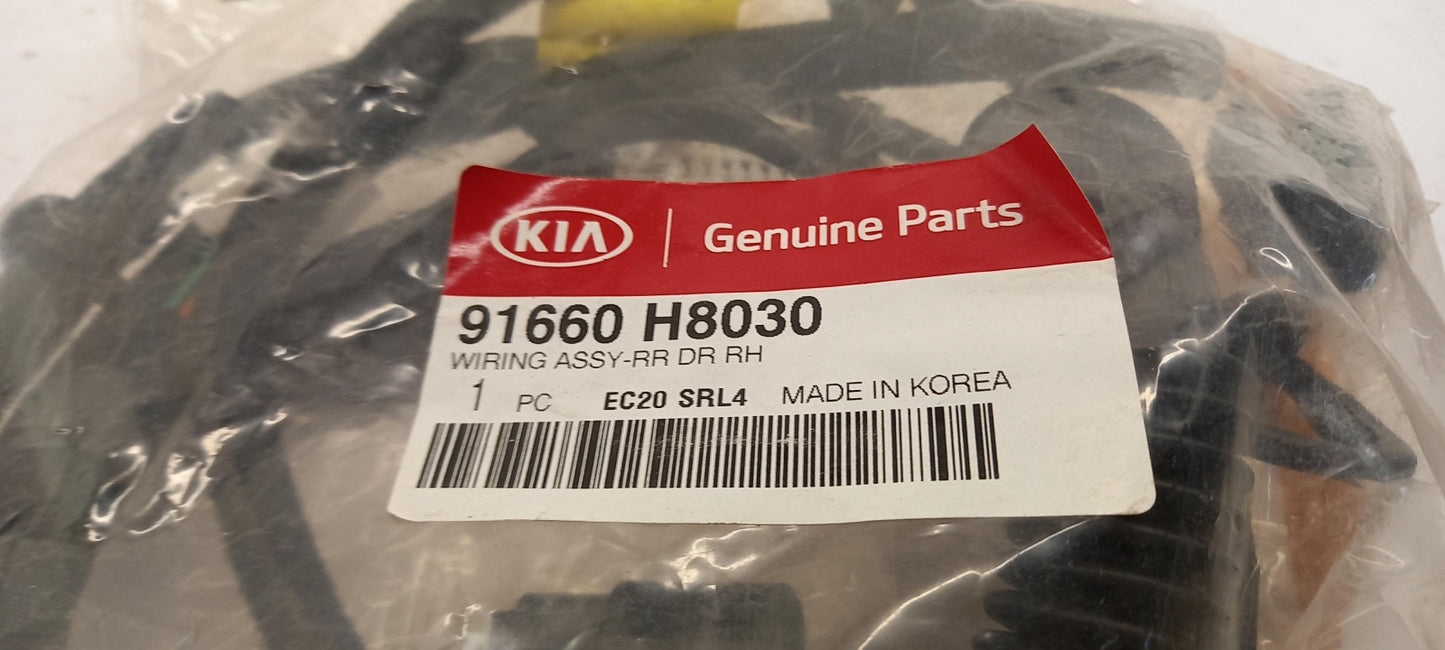 Original OE HYUNDAI/KIA Tür Kabelbaum 91660H8030