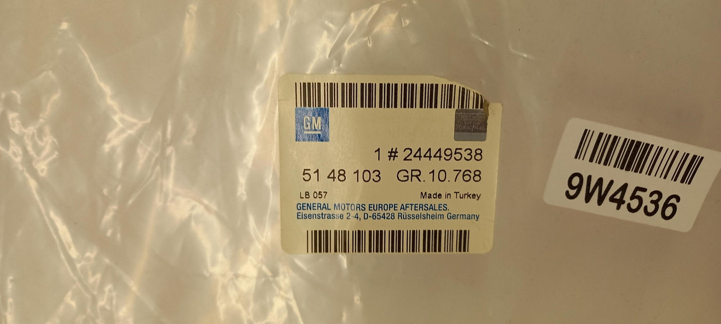 Original OE OPEL Türscheiben Dichtung 24449538