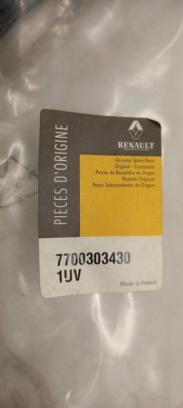 Original OE RENAULT Türscheiben Dichtung 7700303430