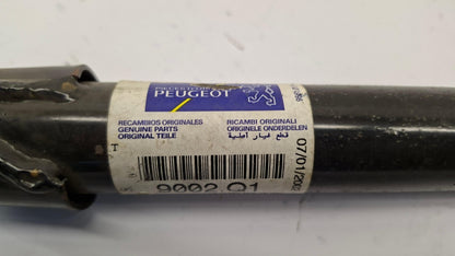 Original OE Peugeot Seitenverstärkung 9002Q1