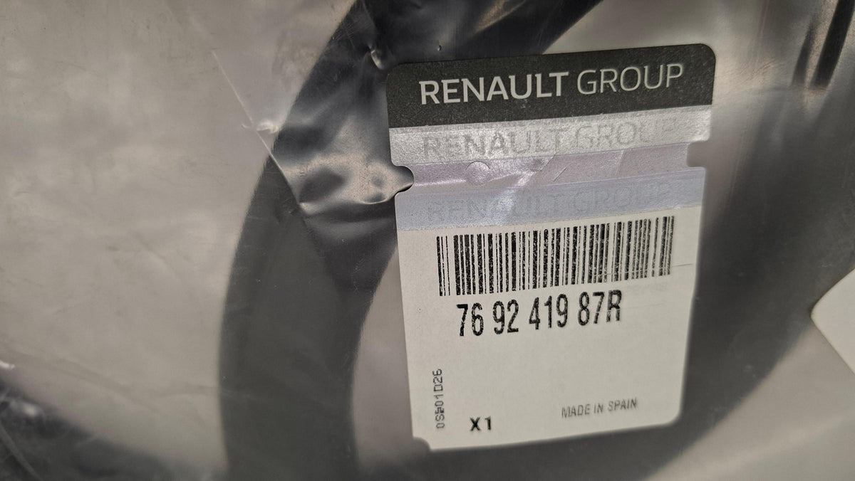 Original OE RENAULT Türdichtung 769241987R