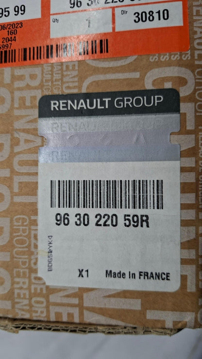 Original OE RENAULT Außenspiegel 963022059R