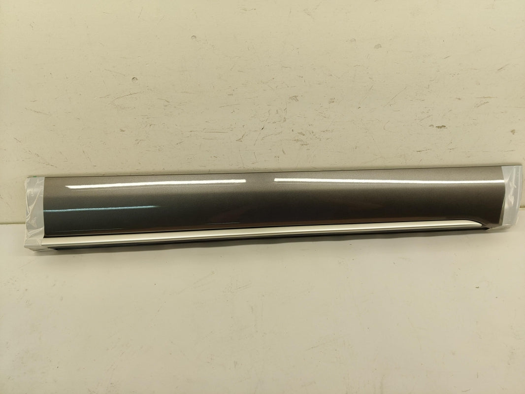 Original OE NISSAN Tür Zierleiste 80870HV15B