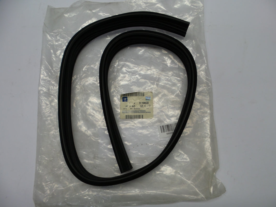 Original OE OPEL Türdichtung 91168038