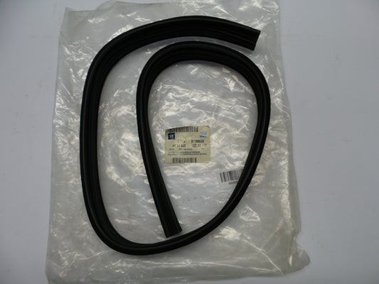 Original OE OPEL Türdichtung 91168038